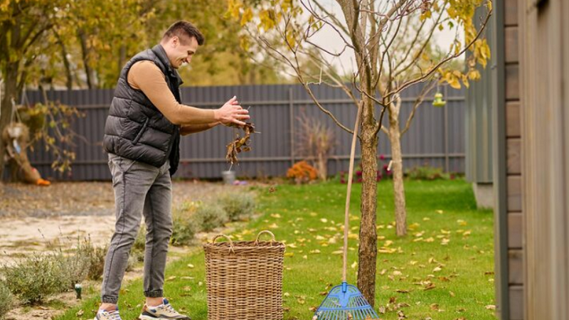 Backyard Renovation Decoradyard: Where to Begin